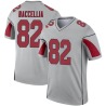 Andre Baccellia Youth Legend Inverted Silver Jersey