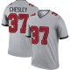 Anthony Chesley Men's Gray Legend Inverted Jersey