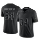 Larry Rountree III Youth Black Limited Reflective Jersey